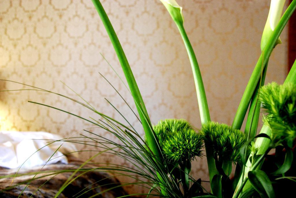 Avogaria 5 Rooms Venedik Dış mekan fotoğraf