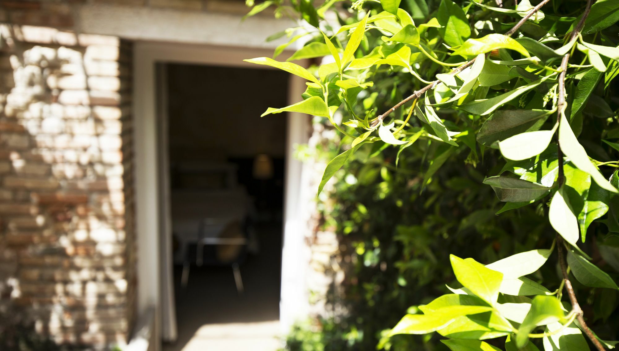 Avogaria 5 Rooms Venedik Dış mekan fotoğraf